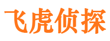 金沙市私人侦探